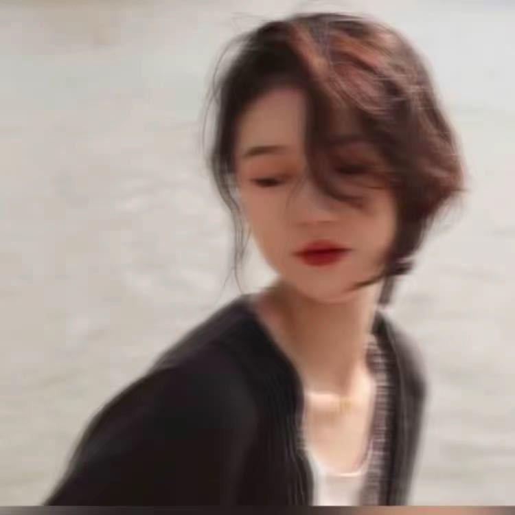 叶十三·