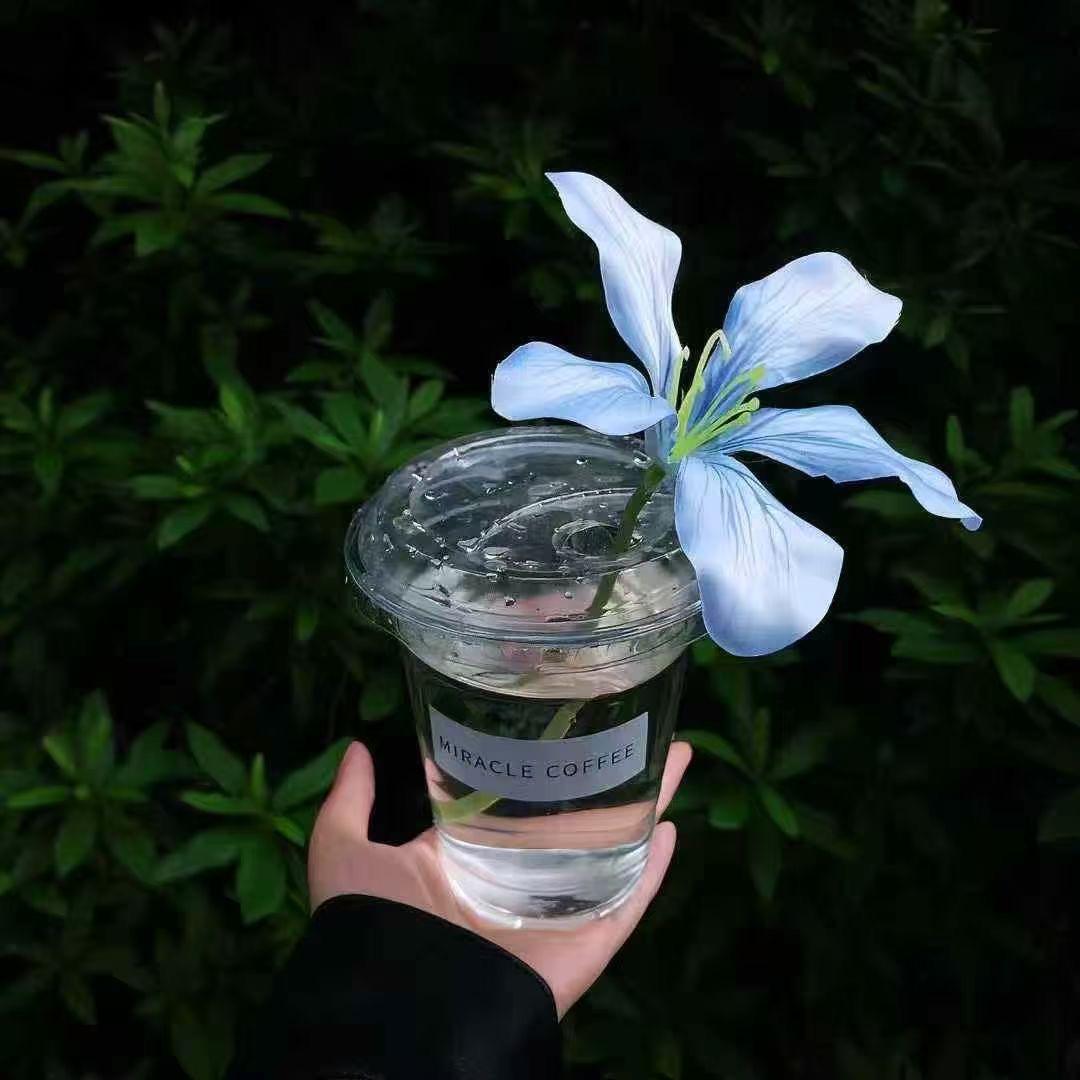 杨小暖🌱