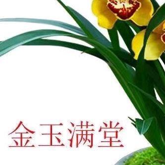 习惯冷莫我的人