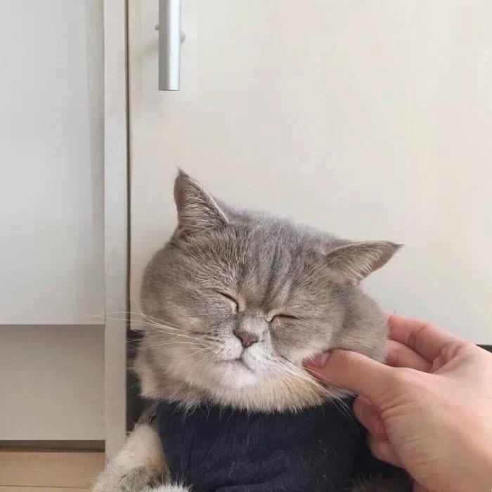 简单点