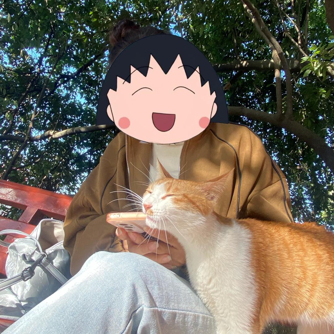 清风拂杨柳҈҉҈҉҈҉҈҉҈҉҈҉𓆡: