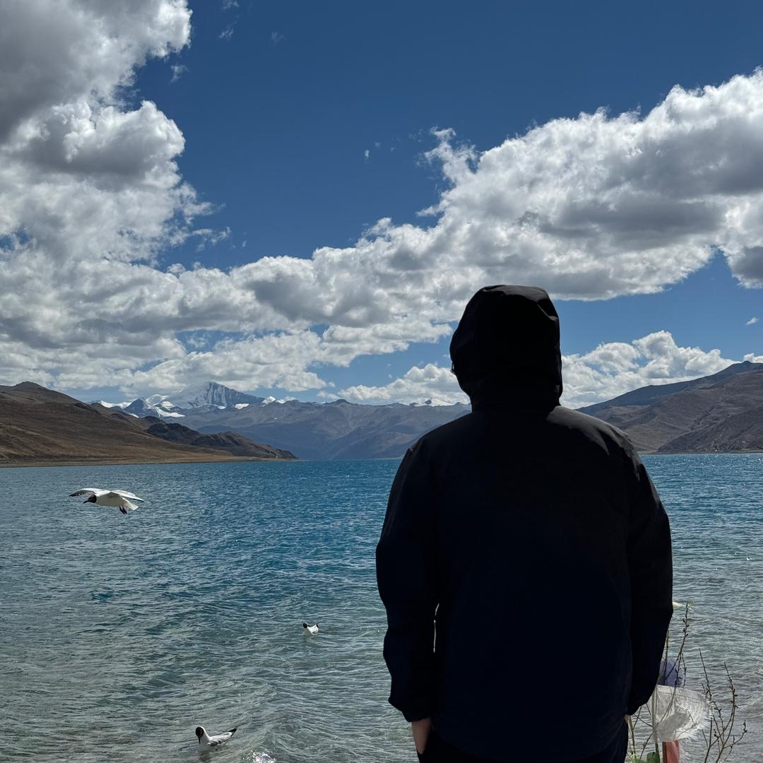 长颈鹿去动物园看长劲鹿