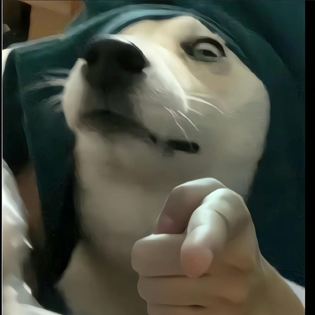 佳佳骑不快
