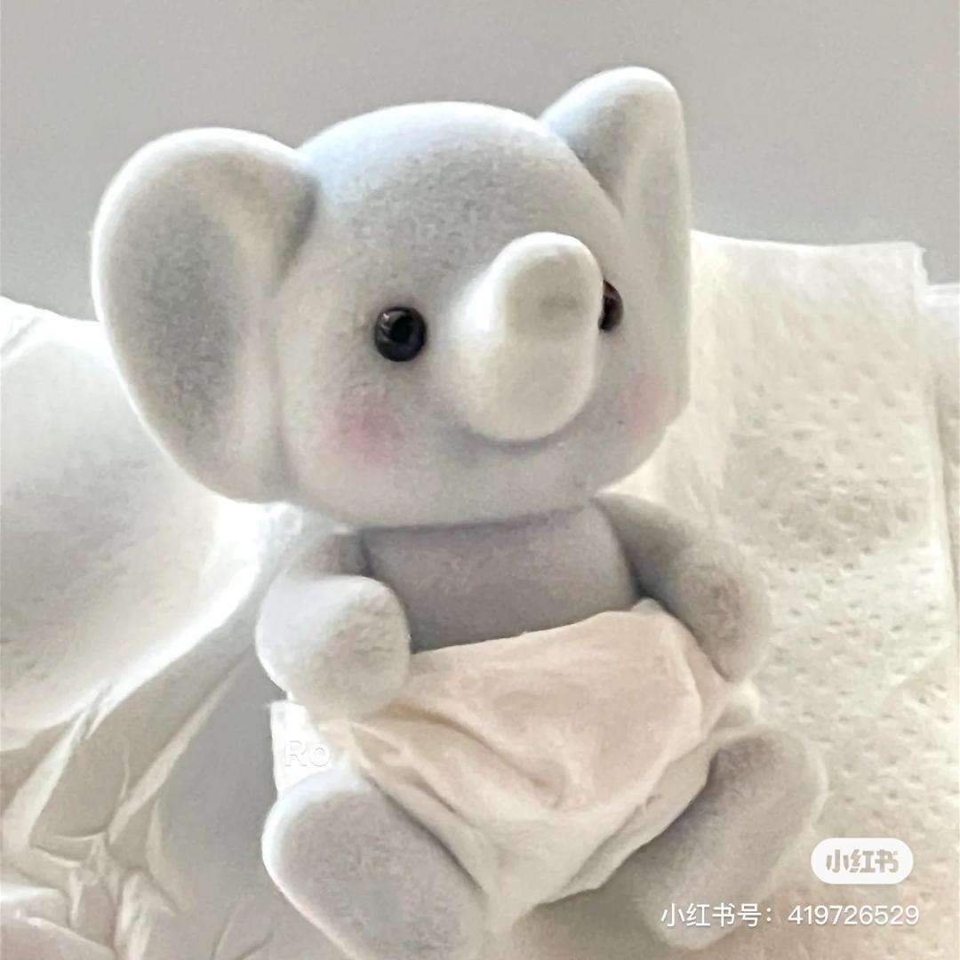 我是小白鱼呀🐟