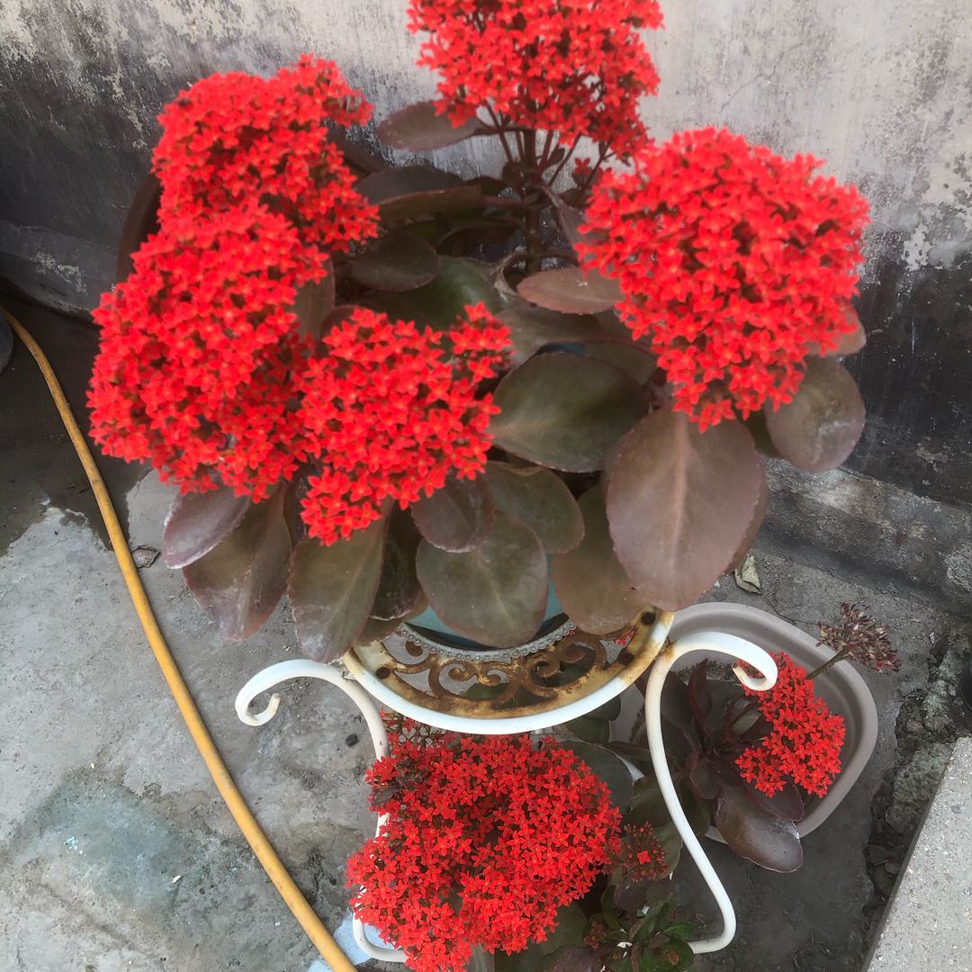 平凡哥:(好物分享）