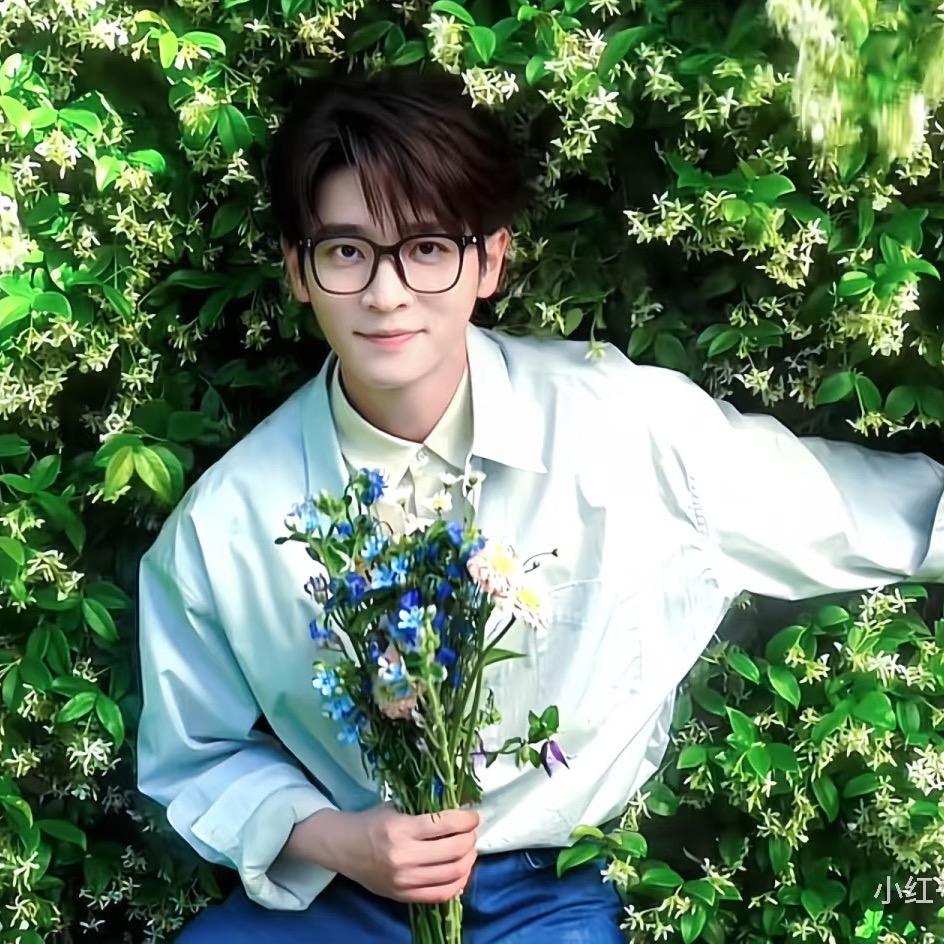 想去看一次冰岛的雪