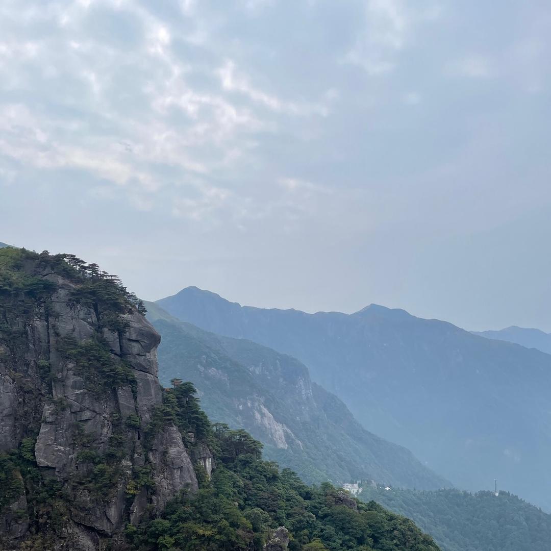 龙🐲