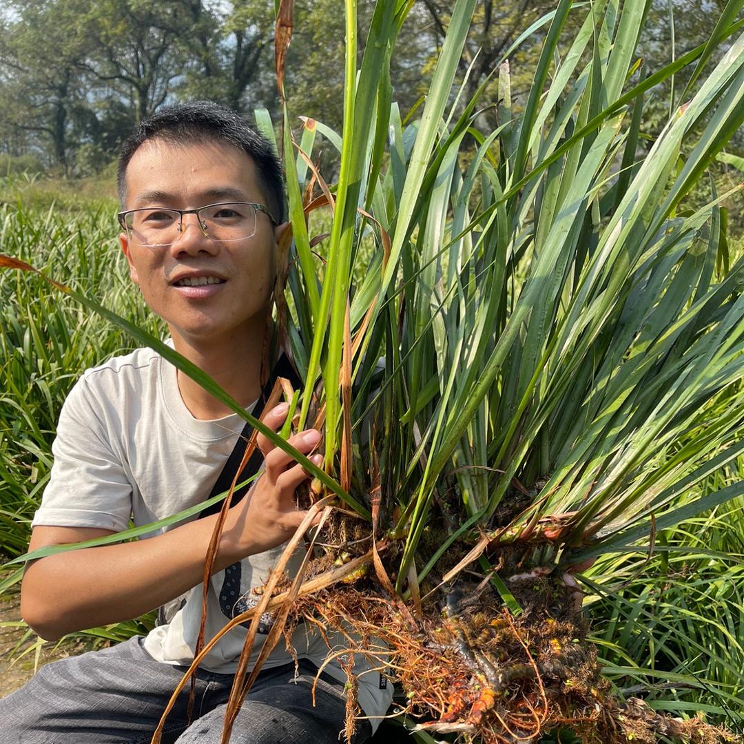 绿之野农业