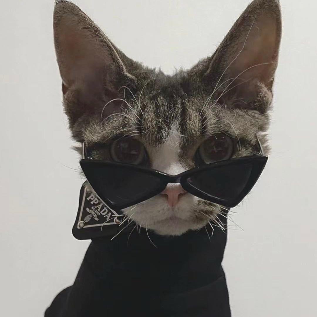 Kat不是猫🐱