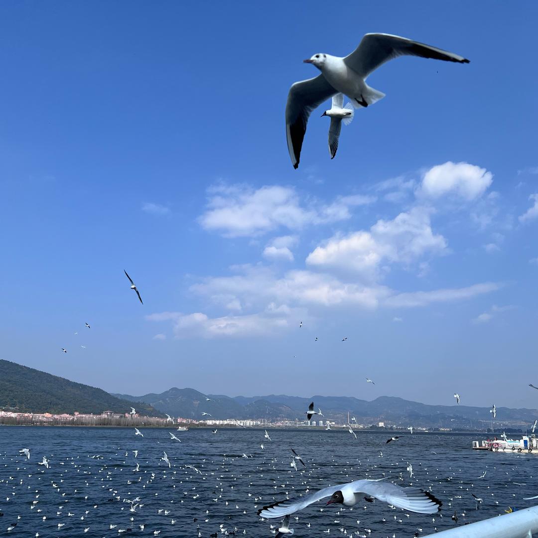 小chen同学🧑‍🎓