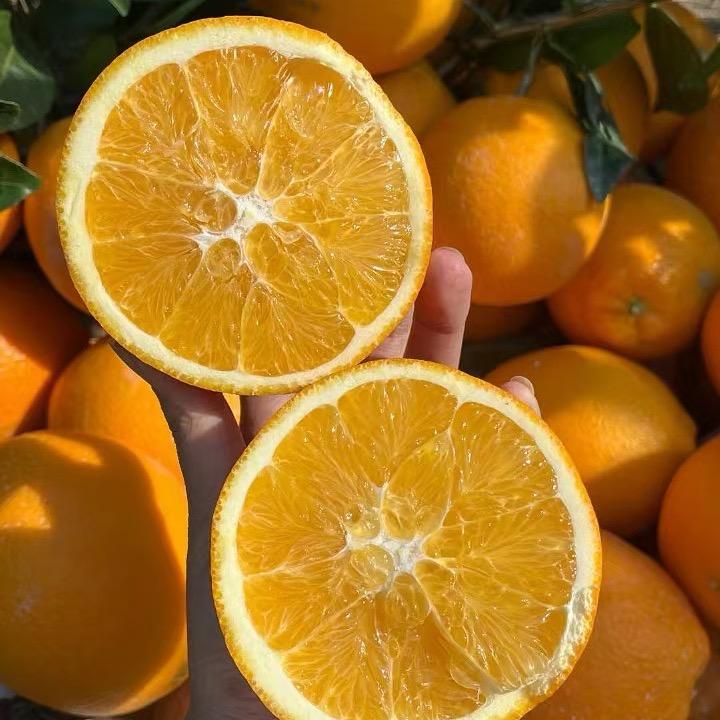 AAA赣南脐橙（招代理）