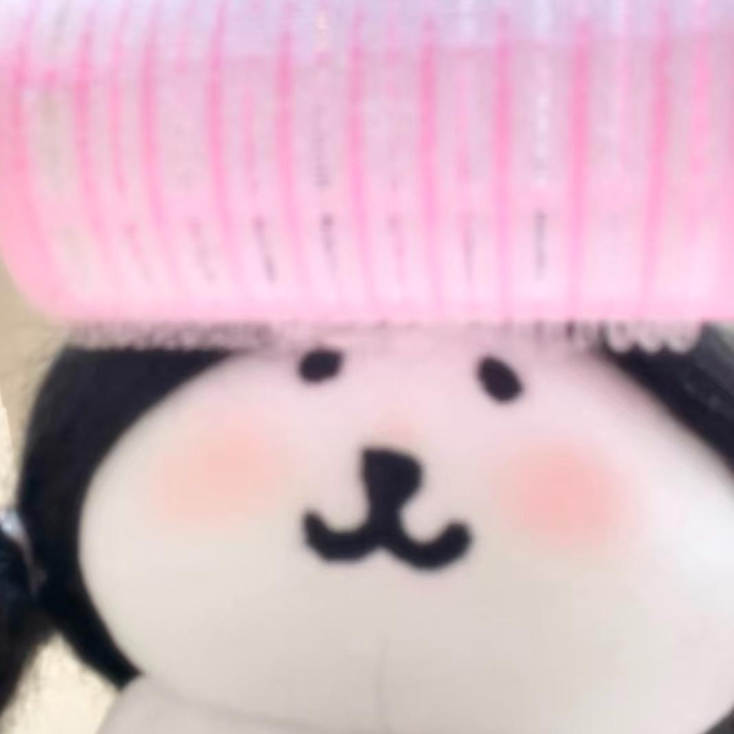 @琳子日记