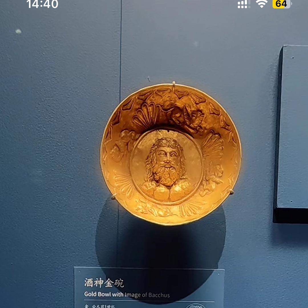 鱼鹅步卒  ！