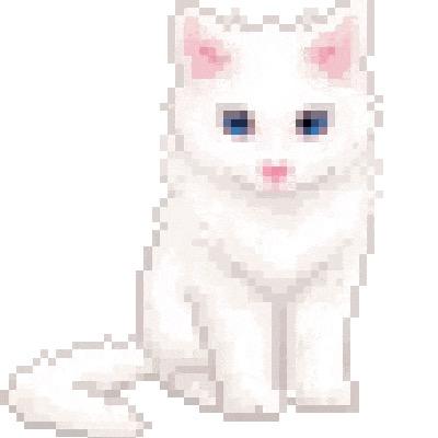 宁愿