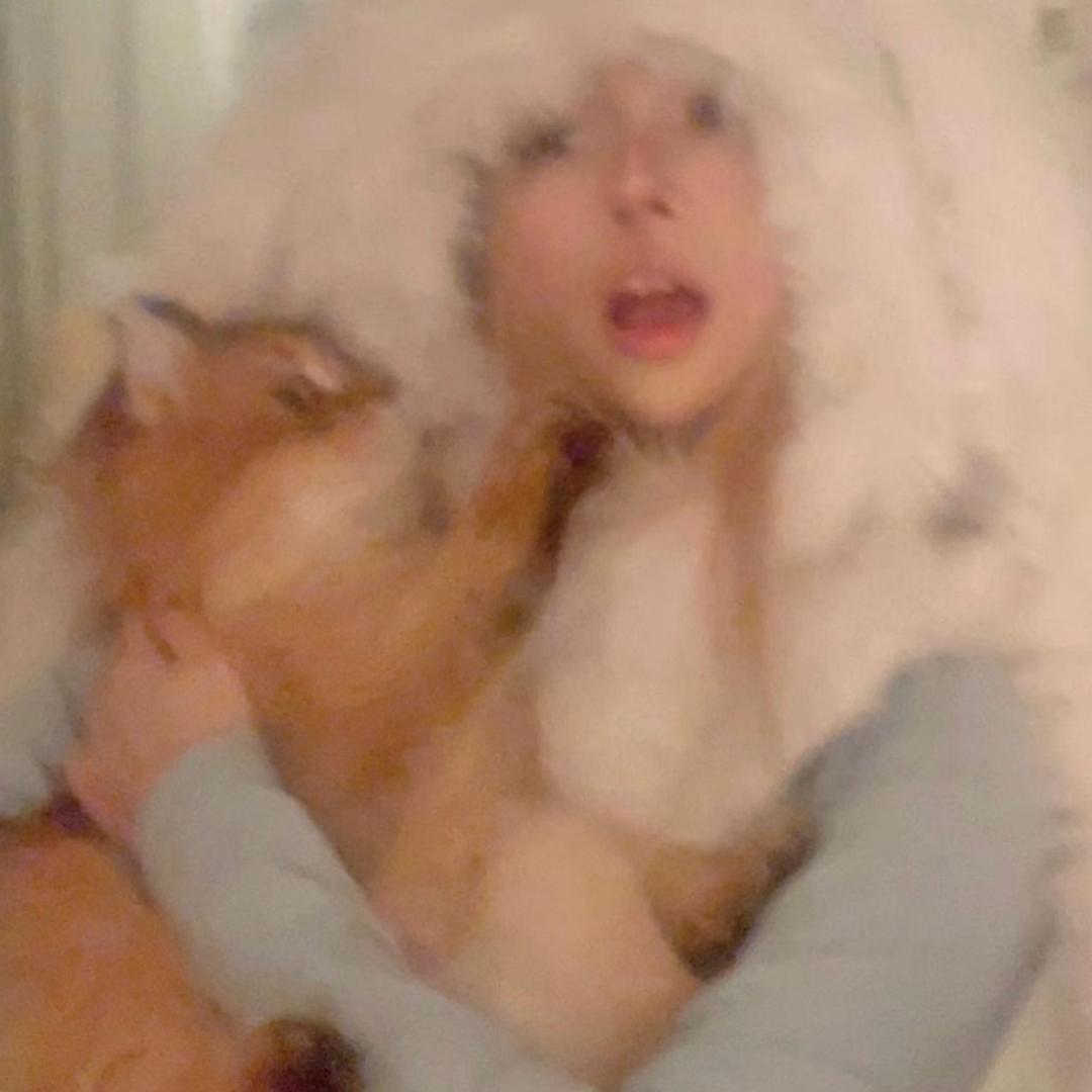 咖啡猫