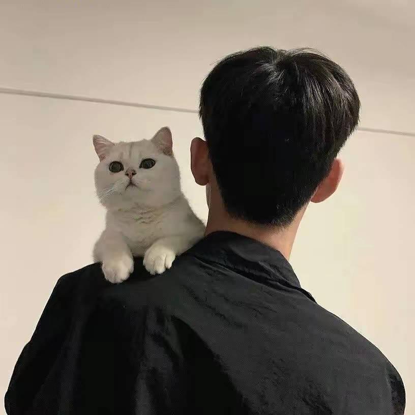 不抽香烟