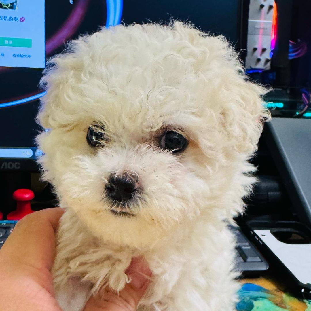 糖果🐶是咱闺女吖