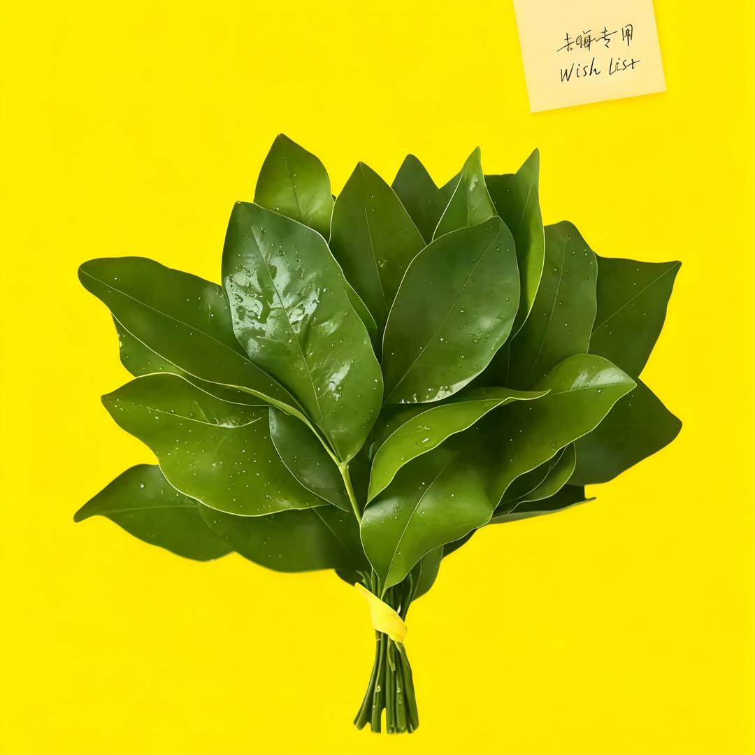 是真的呀！