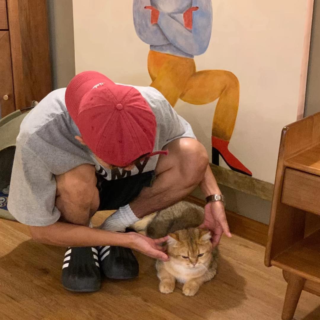 猪猪旗