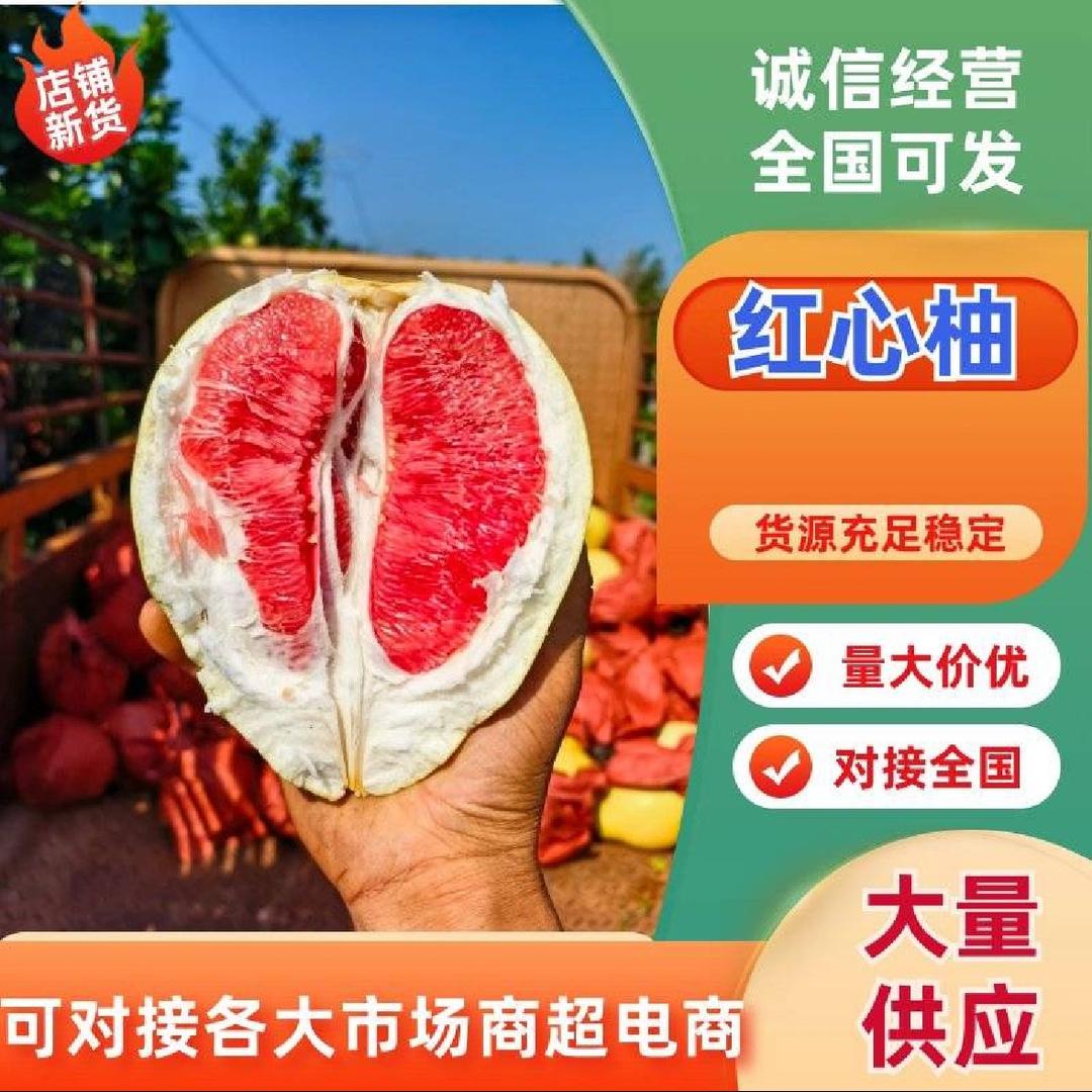天哥-蜜柚代办代发