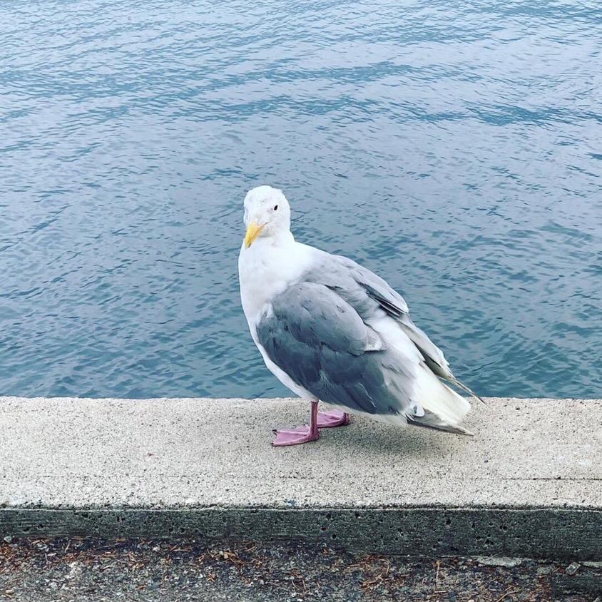 青山和碧海