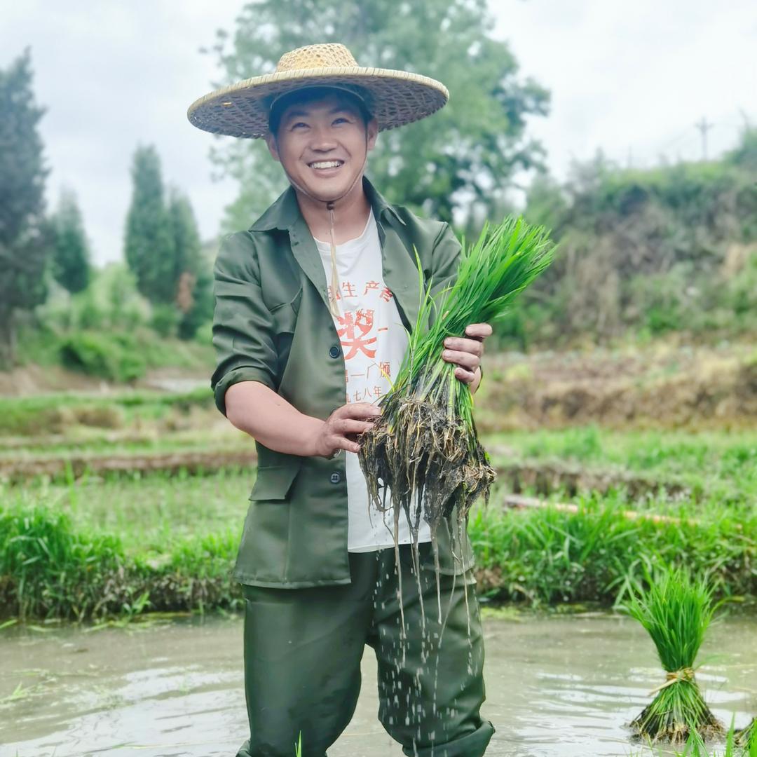 小树的乡村生活