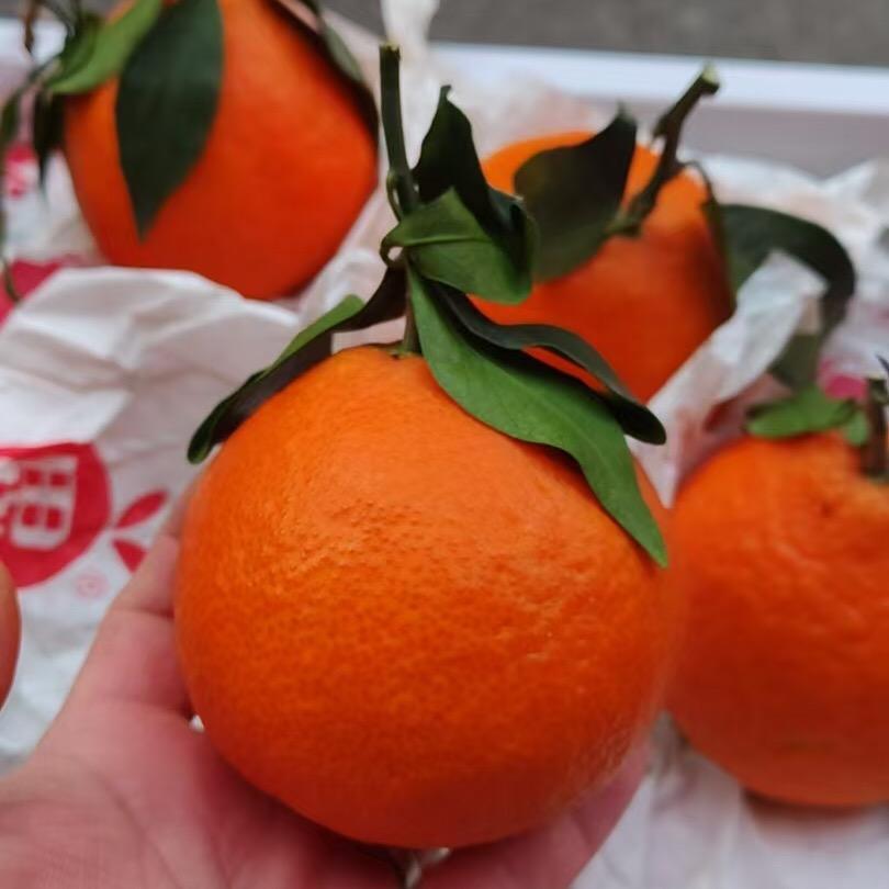 礼泉东关石门鲜果礼水果超市