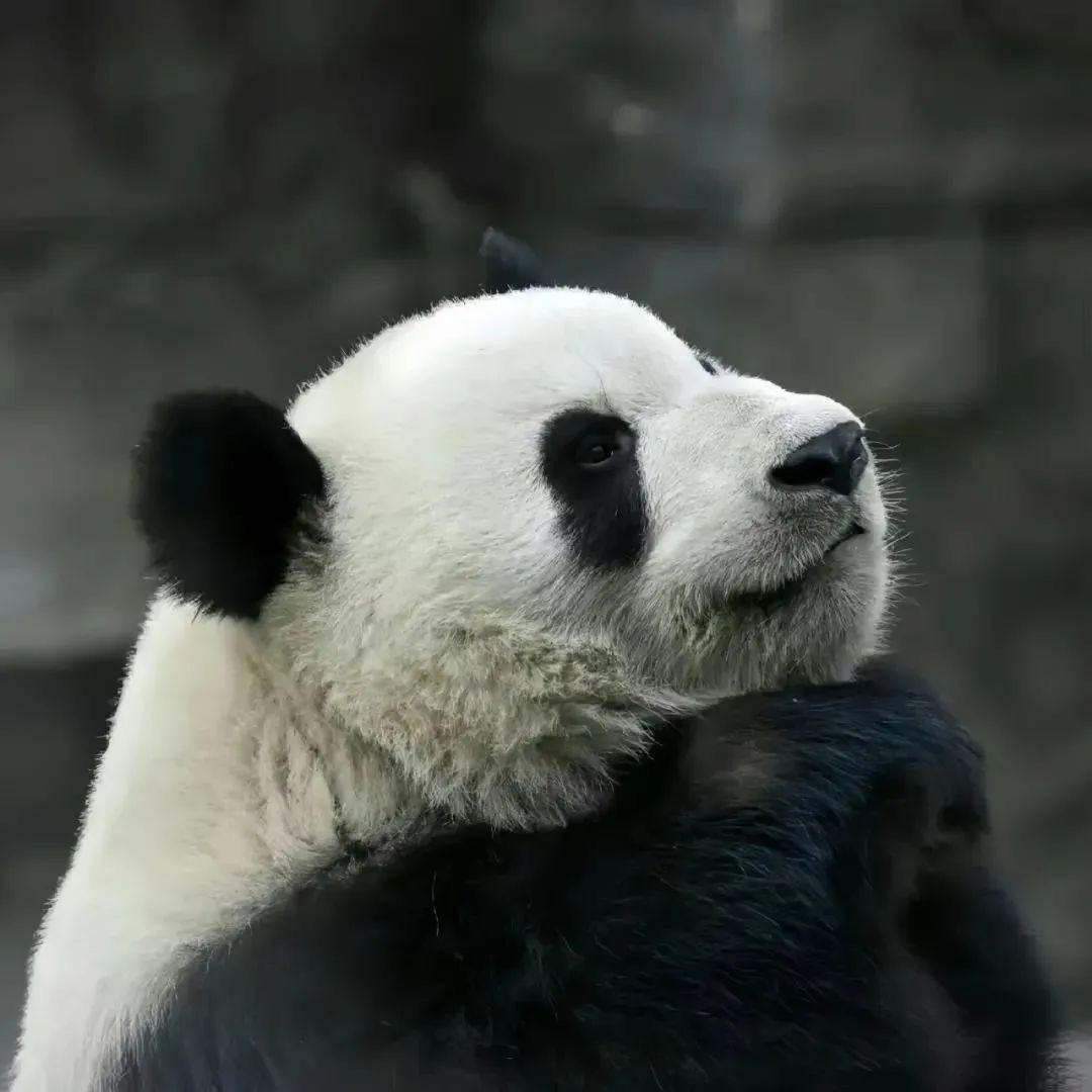 名字有十画呢！