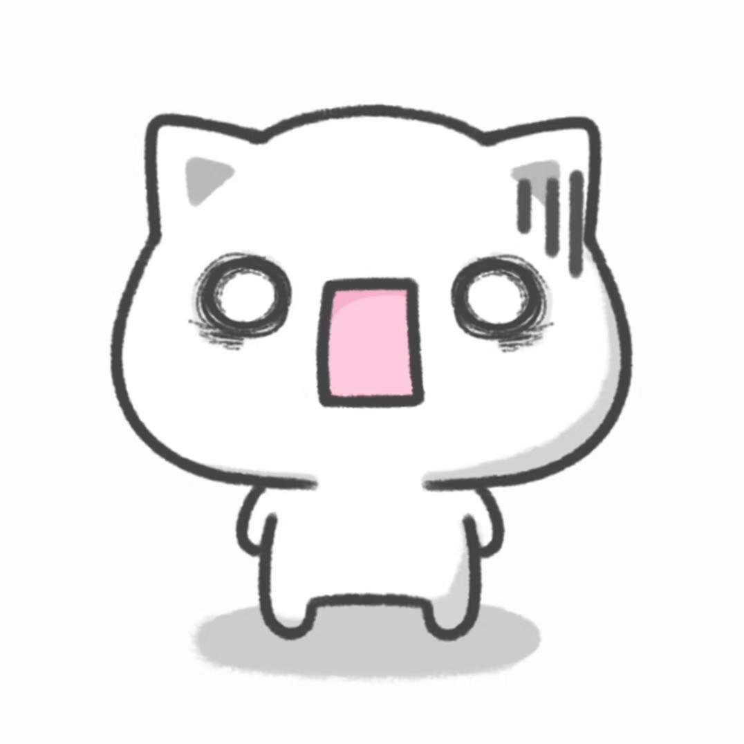 狸花猫(12月17日开播)