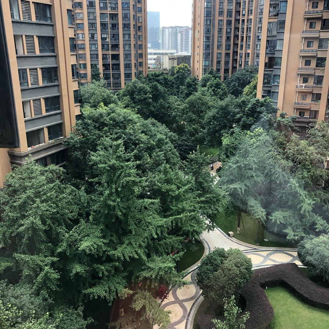 绿意-大娅盆满钵满