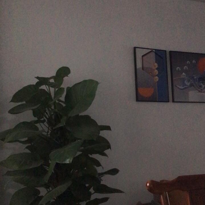 十三行女装👚G6档