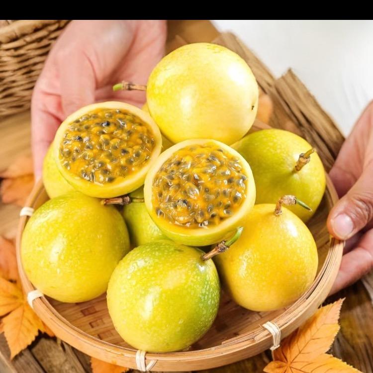 百香果果园（8号仓）