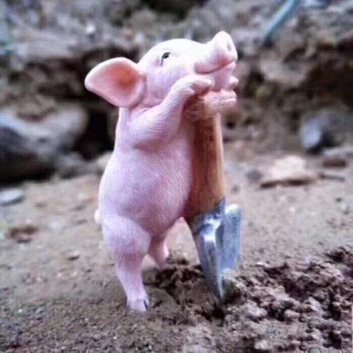 我是猪🐷