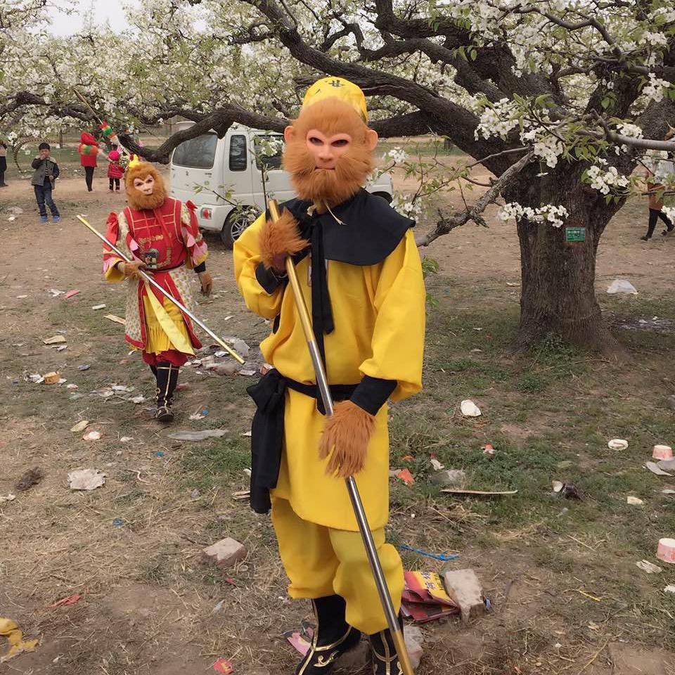 王哪炮