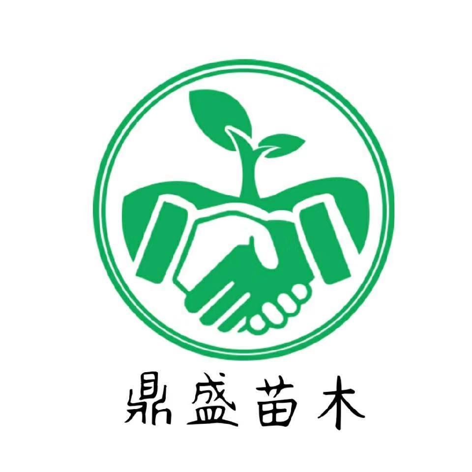鑫鼎盛果树苗木专营店
