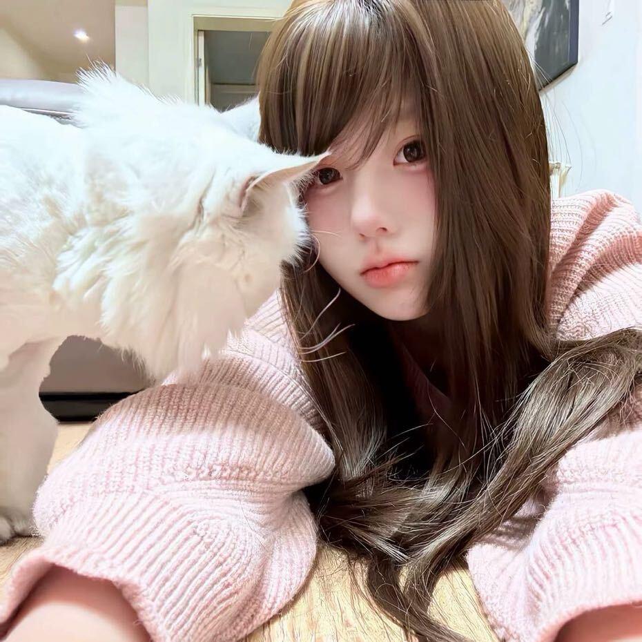 冬眠