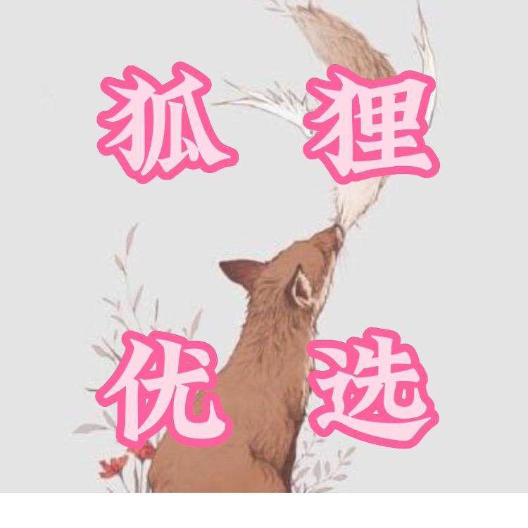 狐狸优选