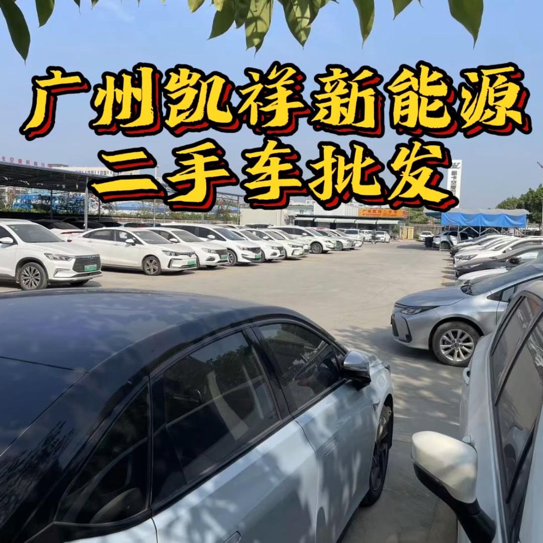 广州凯祥新能源二手车