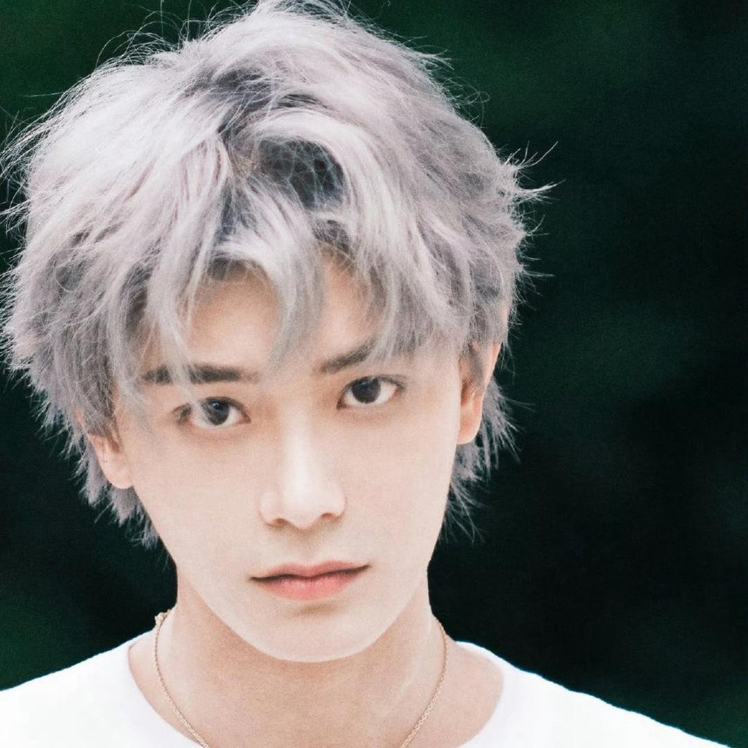 小图永远追丁禹兮