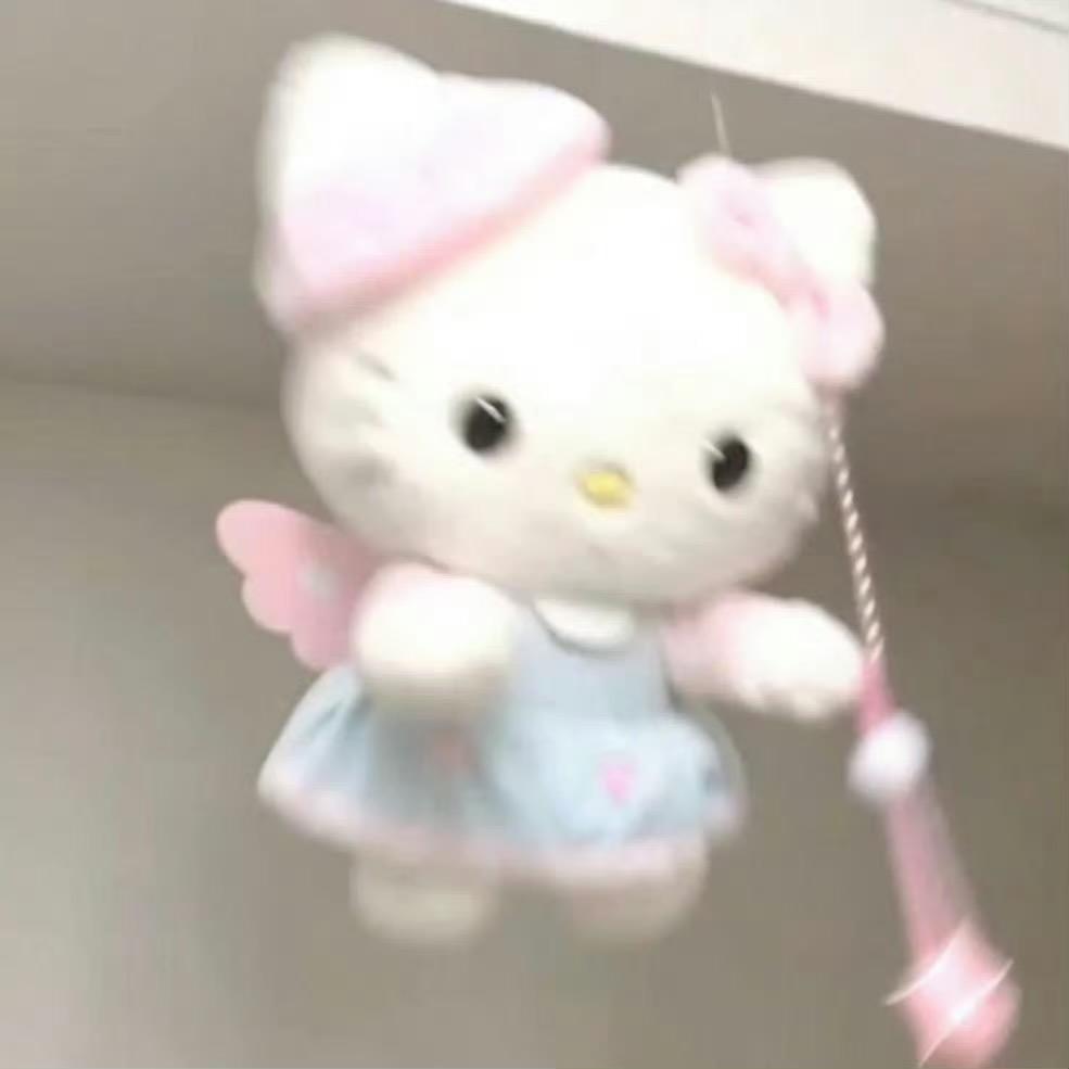-帕尼尼.