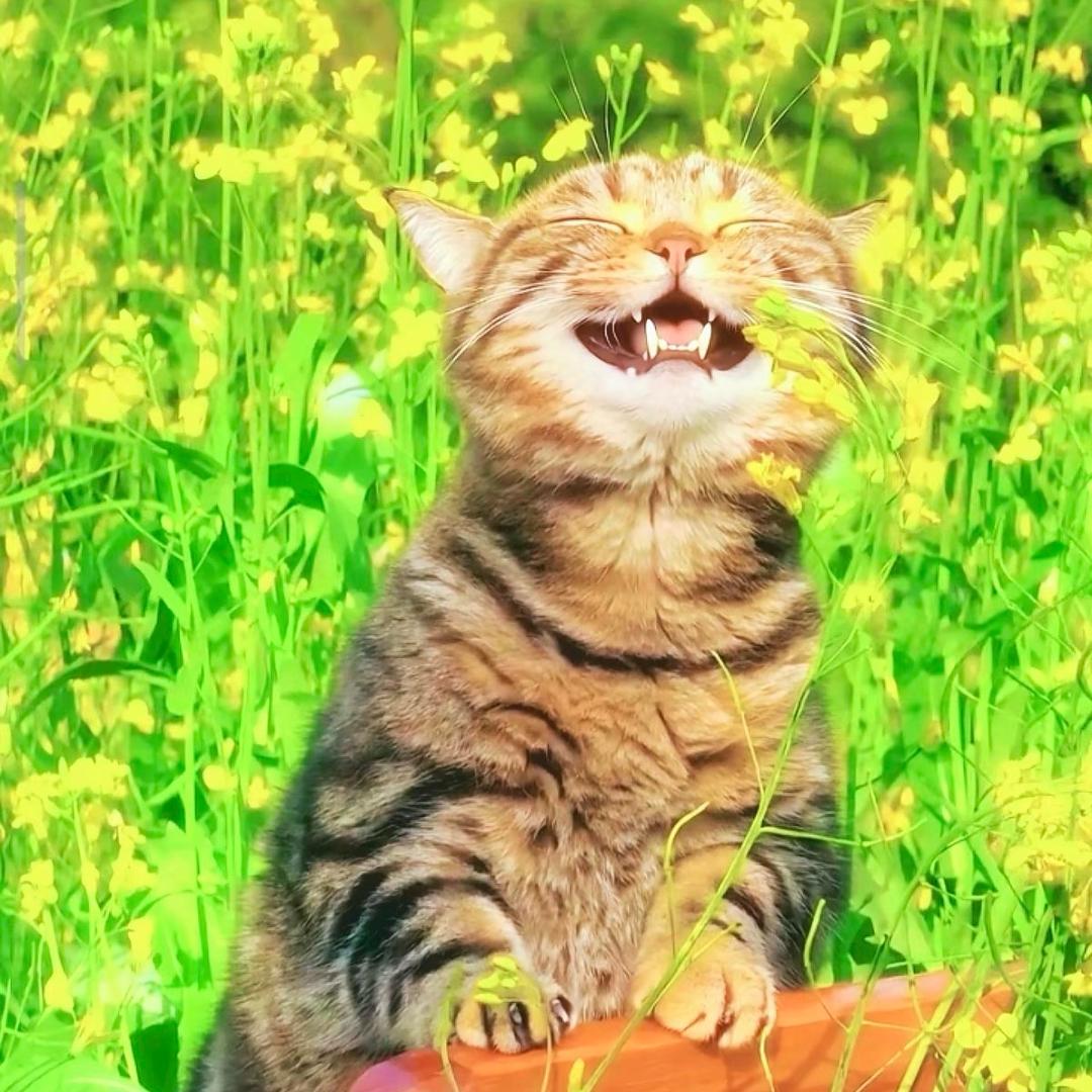 ♥