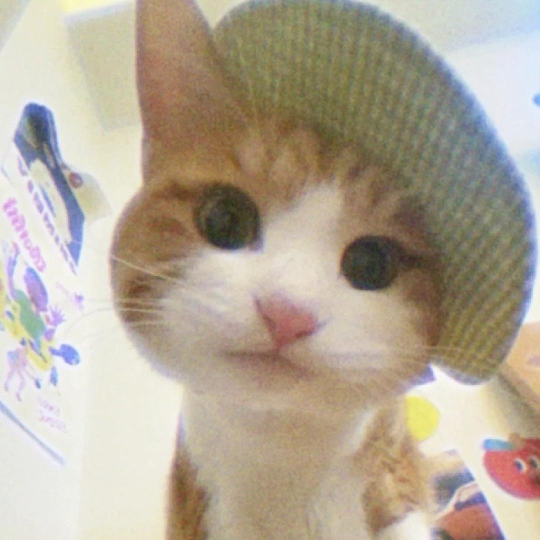 可爱超膘🐾