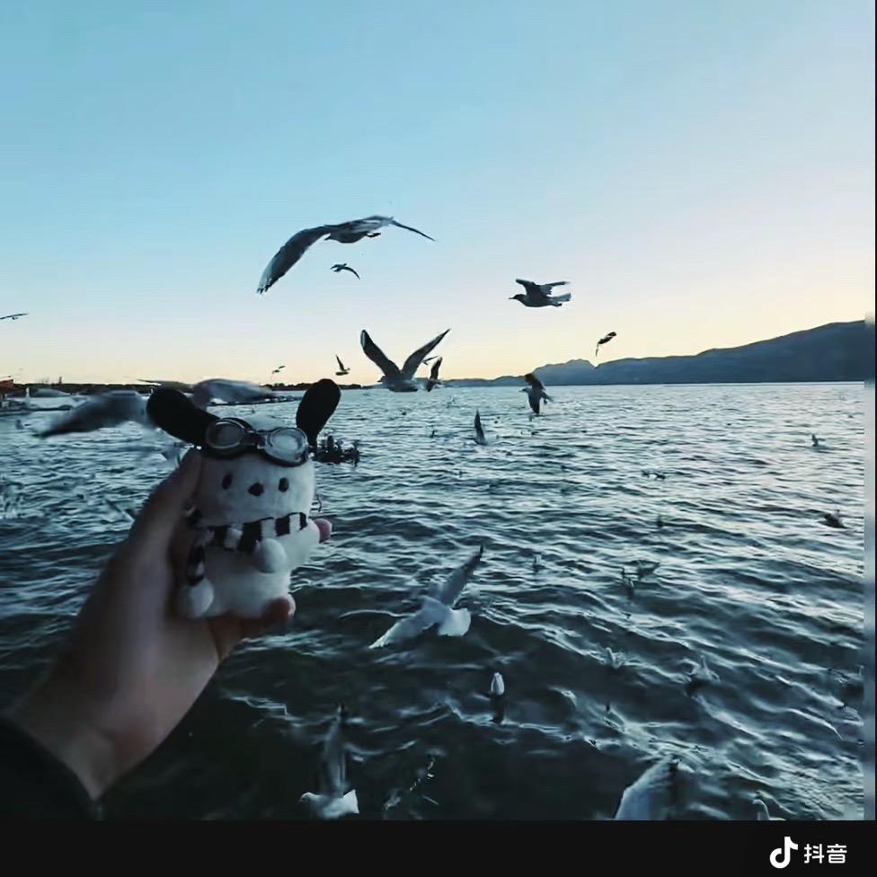 水泥封心