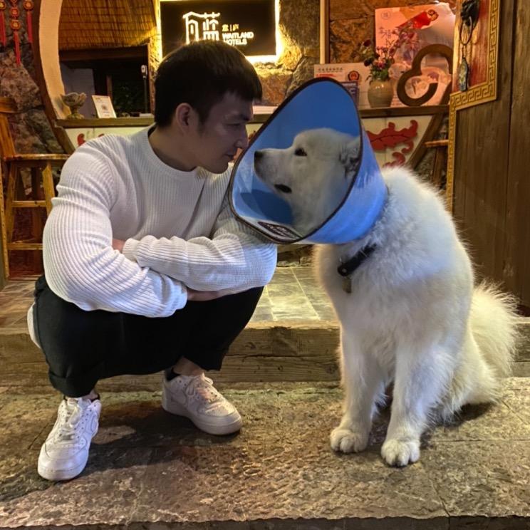 奶爸郑大瓜
