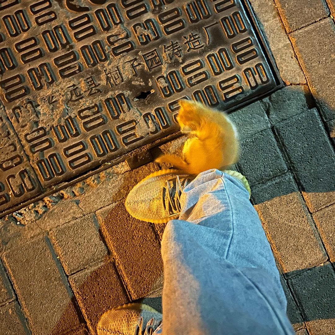 草木