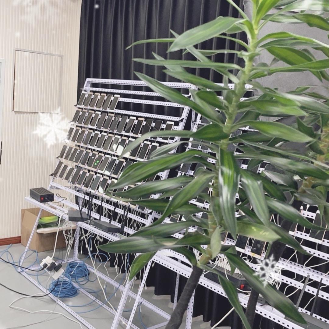 纪老板3.0