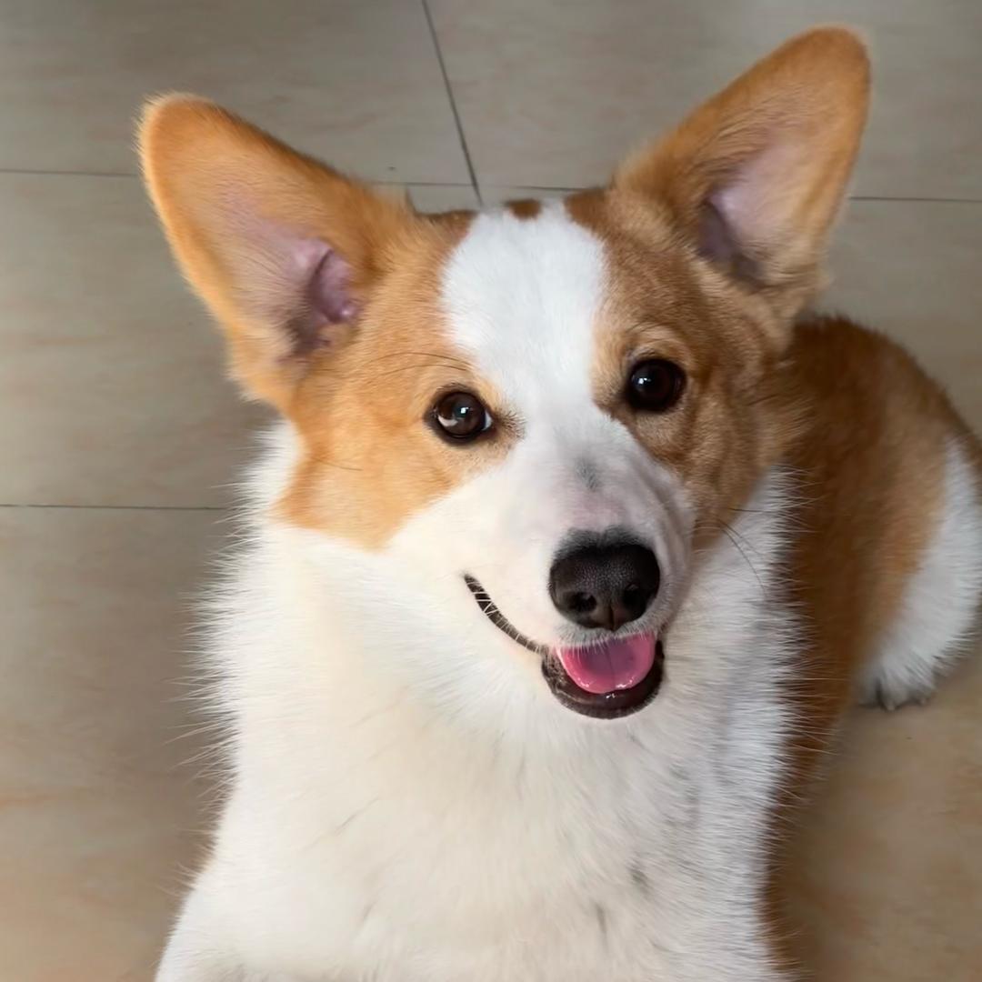 LiLi