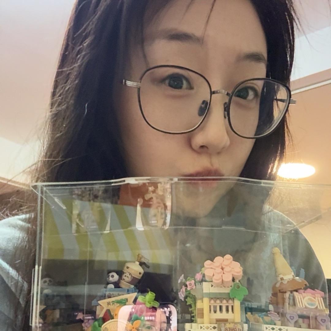 爱堆积木的纪小姐