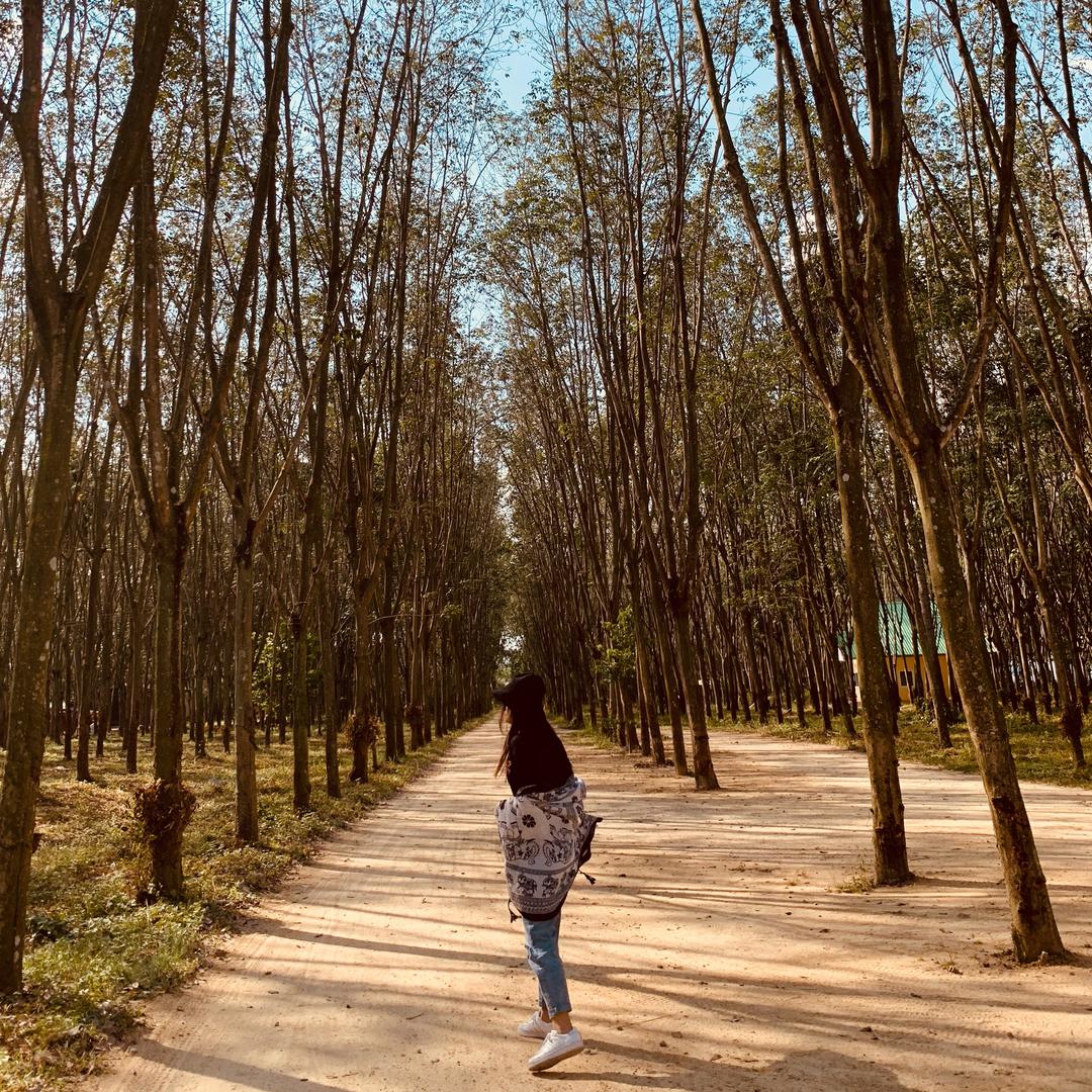 小米粥🌾