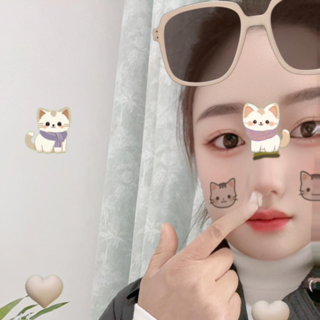 西藏粽子月饼厂家直销